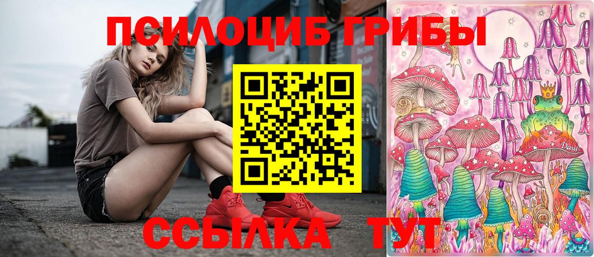 Артём  Псилоцибиновые грибы Magic Shrooms  Вход с VPN  Псилоцибиновые грибы Psilocybe 